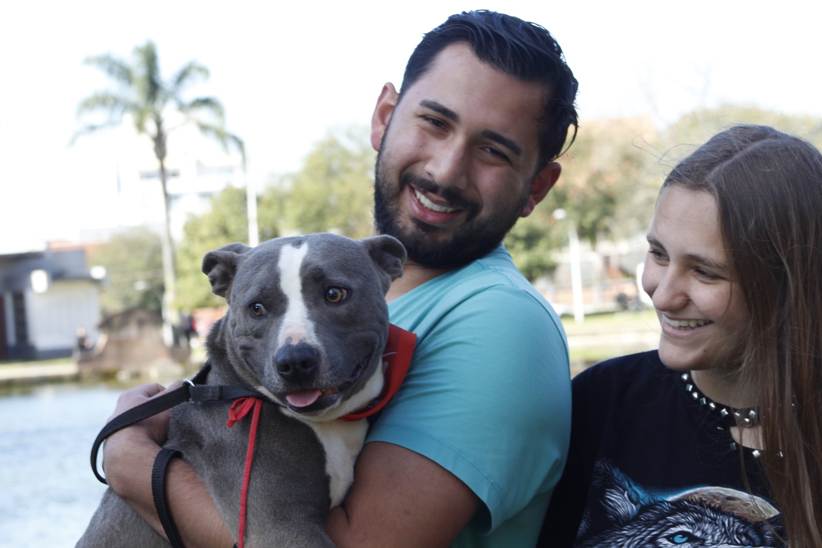 Prefeitura de Lages Feira de Adoção: o pitbull “Tripé” e outros quatro cãezinhos do Cobea de Lages ganham novas famílias