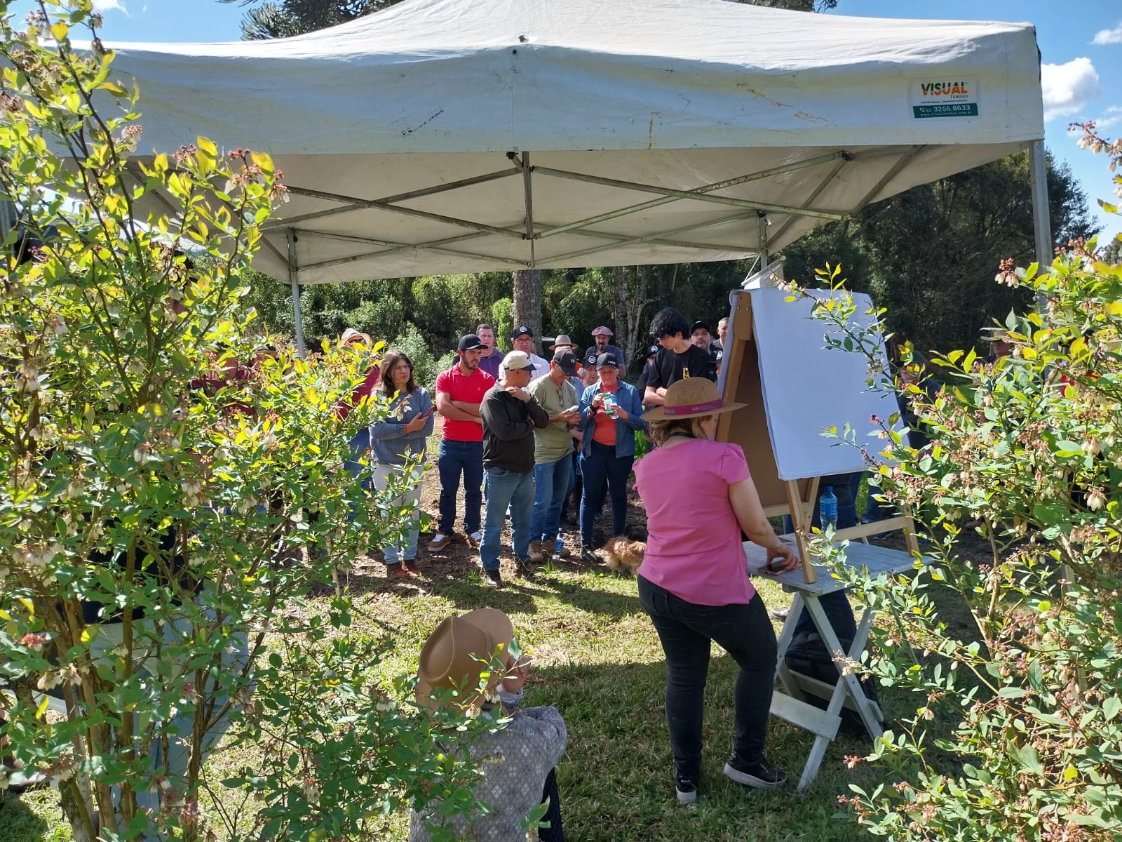 Prefeitura de Lages Dia de Campo destaca cultivo de fruta de alto valor de mercado