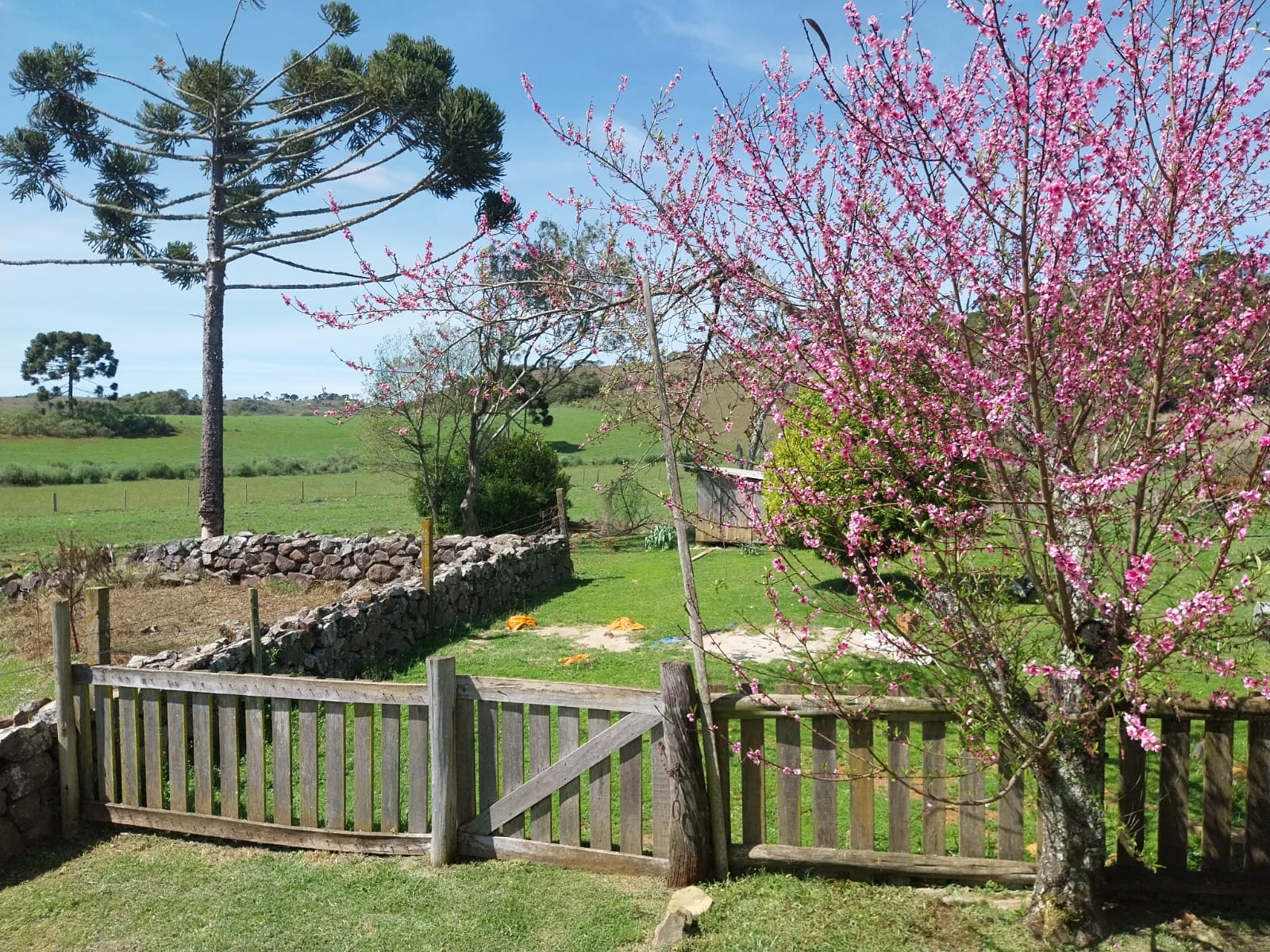 Prefeitura de Lages Cadastro Ambiental Rural: prazo encerra no dia 31 de dezembro