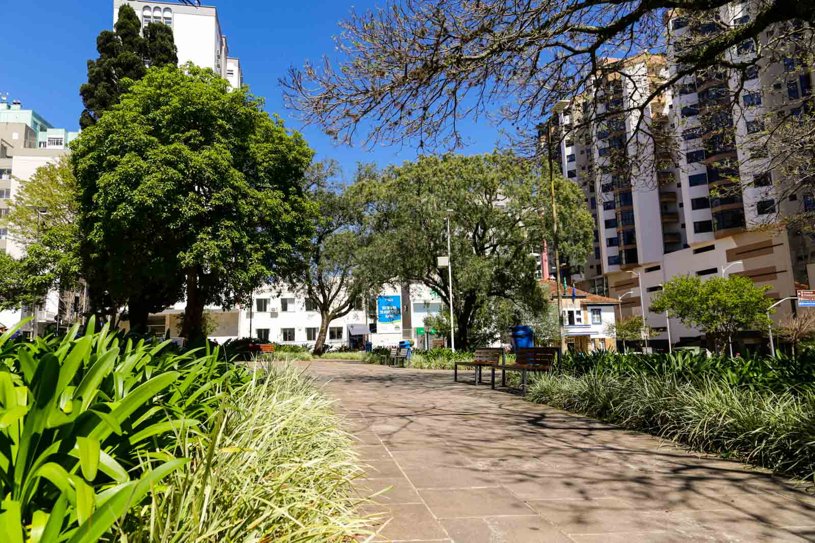 Prefeitura de Lages Programa incentiva adoção e cuidado com espaços públicos urbanos