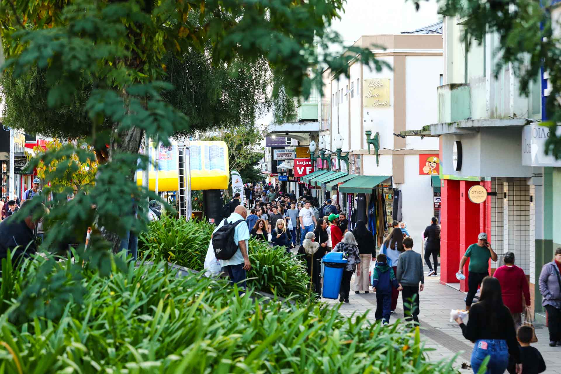 Prefeitura de Lages Dia da Consciência Negra: veja quais serviços estarão funcionando na Prefeitura de Lages
