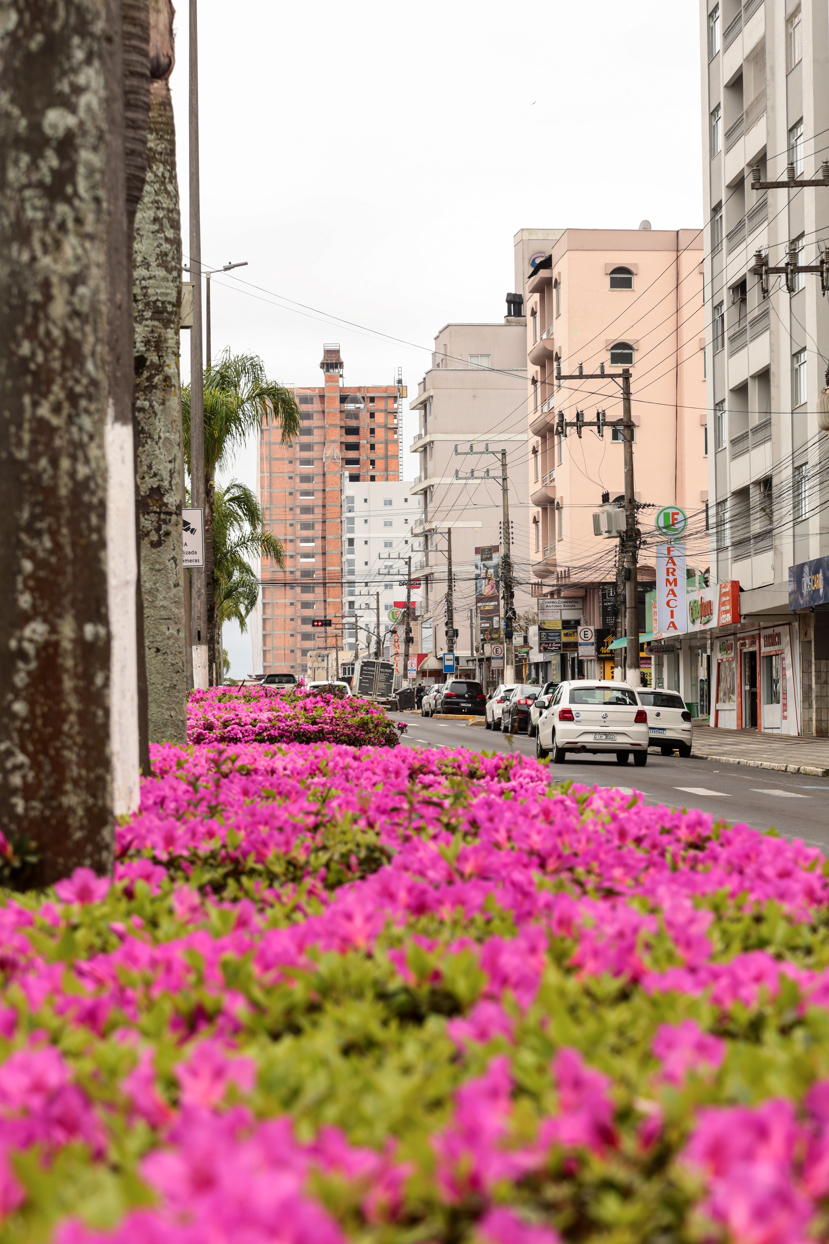Prefeitura de Lages Primeira etapa de adesão ao Programa de Recuperação Fiscal (Refis) 2025 com desconto de 100% para acerto à vista e maiores margens de percentual de desconto em parcelamentos termina neste dia 22 de outubro 