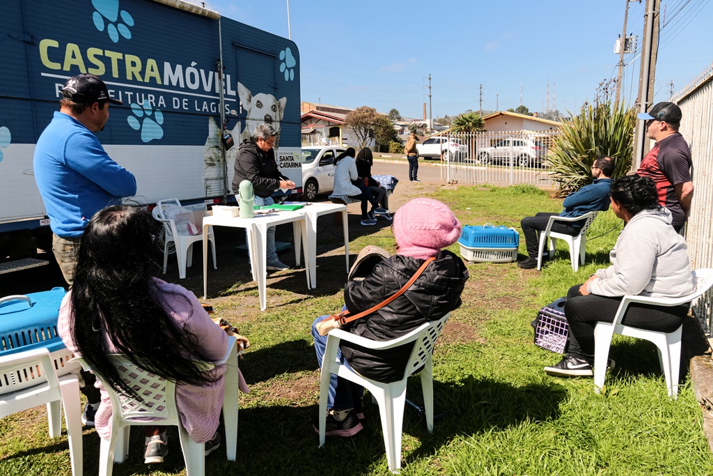 Prefeitura de Lages Mutirão de castração no Vila Nova é transferido para o dia 31 de outubro