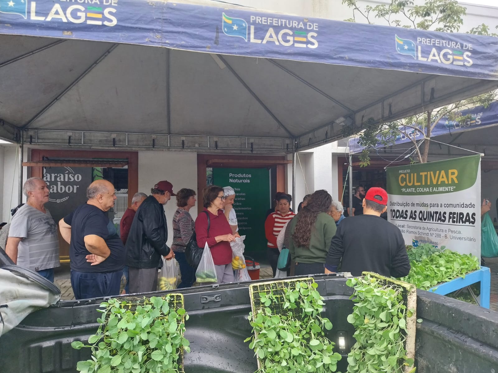 Prefeitura de Lages Programa Cultivar estará no bairro da Várzea nesta terça-feira